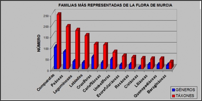 Familias más representadas de la Flora de Murcia