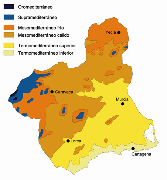 Aproximación bioclimática de la Región de Murcia: Termótipos